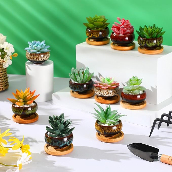 24 Pcs Ceramic Succulent Pots 2.5 Inch Small Plant Pots Indoor with Drainage and Bamboo Saucers Colorful Succulent Flower Planters for Garden Plants Home Decor