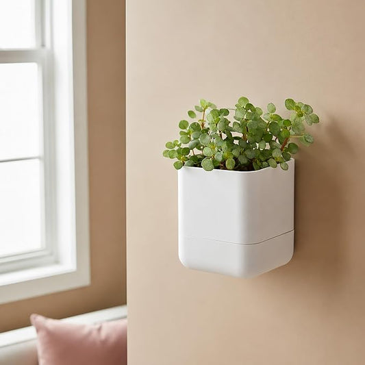Phoenix Vine 4.5 Inch Wall Mounted Self-Watering Planter Pot for Indoor Houseplants and Herbs | Hanging Planter for Window Sills, Bathroom Walls, Home & Office Décor, White, Set of 1, 01-B-D-1
