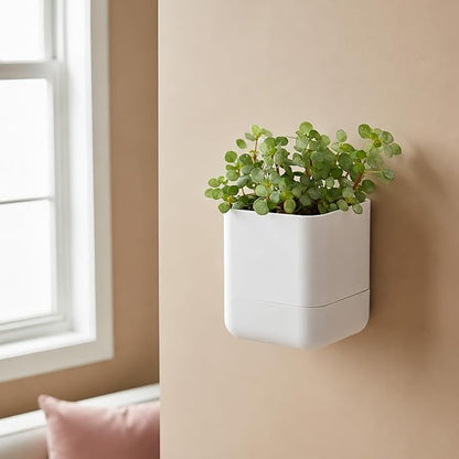 Phoenix Vine 4.5 Inch Wall Mounted Self-Watering Planter Pot for Indoor Houseplants and Herbs | Hanging Planter for Window Sills, Bathroom Walls, Home & Office Décor, White, Set of 4, 01-B-D-4