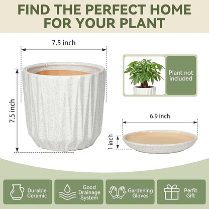 7.5 Inch Ceramic Planter Pot with Saucer Drainage Leak-Proof Mesh,Flower Pots for Indoor Plants with Gardening Gloves,Ceramic Planter(Waxen White)