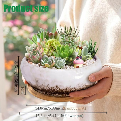 Drzewo Succulent Pots, Succulent Pots with Drainage & Bamboo Tray, 7-Inch Ceramic Drip Glazed Shallow Planter Container Bowl for Indoor Outdoor Plants, Decorative Garden Cactus Flower