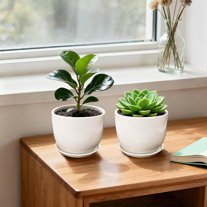 Ceramic Plant Pots,White 5.5 Inch Flower Pots for Plants,Ceramic Planter with Drainage Holes,Indoor Planter Pots with Saucer,Outdoor Garden Pots (White, 4 Pack)