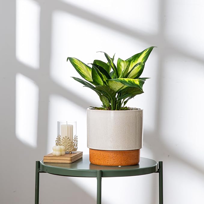 8 Inch Ceramic Self Watering Planter with Drainage Hole, Grey | Indoor Plant Pot with Water Storage Plus - for African Violet, Herbs & Pothos - Home & Office Decor, Cylinder Round