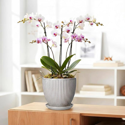 Ceramic Planters for Plants, 8 Inch Flower Pot with Drainage Hole and Saucer, Round Plant Pots for Indoor Plants, Modern Decorative Planter, Home Garden Decor, Gifts for Plant Lovers, Grey