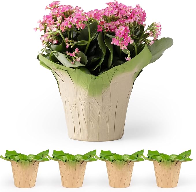 6” AZA Plant Pot Covers, FSC® Certified Recycled Kraft Paper, Decorative Plant Sleeve for House Plants, Reusable and Gift-Ready for Potted Flowers, Green, Pack of 5