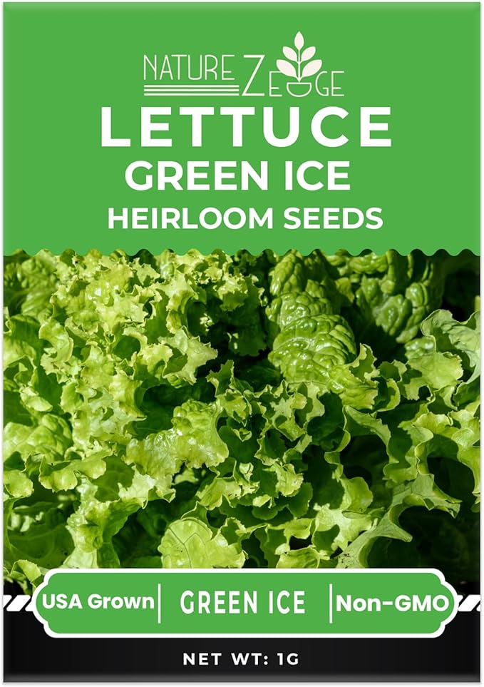 NatureZ Edge Lettuce Seeds for Planting, 4 Popular Varieties Non-GMO Heirloom Seeds, Red Romaine, Bibb Butter, Black Seeded Simpson, Green Ice Lettuce, Romaine, Salad Lettuce, Hydroponic Garden, USA