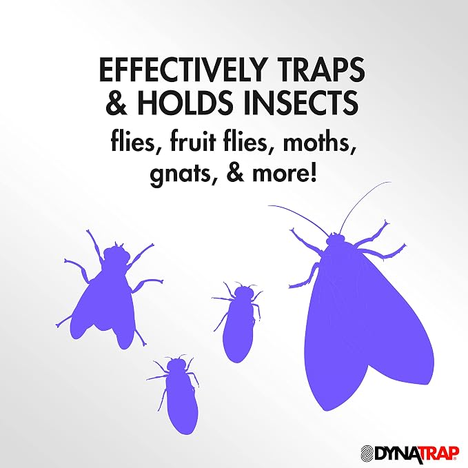 DynaTrap 23005-0612 DOT StickyTech Replacement Indoor Flying Insect Trap Glue Cards - 6 Count (Pack of 12)