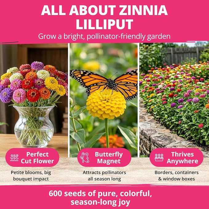 HOME GROWN Zinnia Lilliput Mix Flower Seeds for Planting Spring 2026 – 2500 Seeds (2g) Zinnia elegans – Colorful Zinnia Seed Mix for Garden Beds, Containers & Cut Flowers, Easy Grow Zinnia Seeds