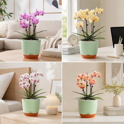 QCQHDU 7.2Inch Orchid Pots with Holes for Repotting, Double-Layer Plastic Self Watering Flower Pots for Indoor Plants with Drainage Holes, Clear Orchid Pot Match Decorative Orchid Container, 3 Packs