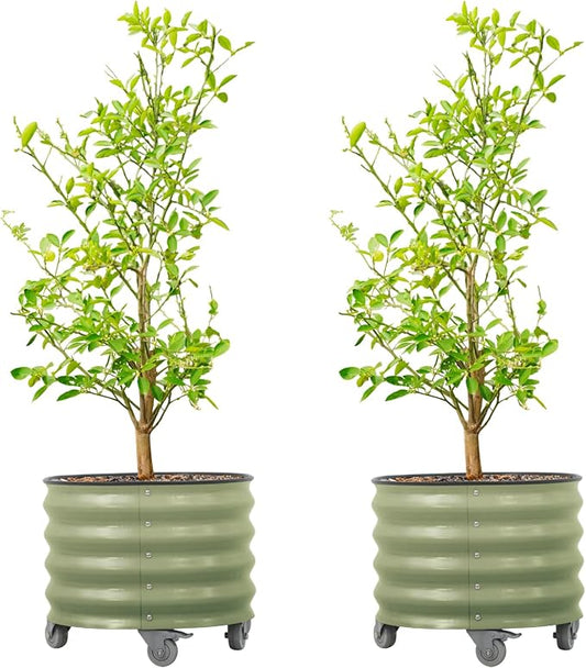 Rolling Metal Citrus Tree Planter Pot, 21″ Round Planter Box for Porch Patio & Backyard, 20 Gallon Large Planter Pot with Wheels for Growing Olive Trees Tomatoes Vegetables Flowers, 2 Pack Olive Green