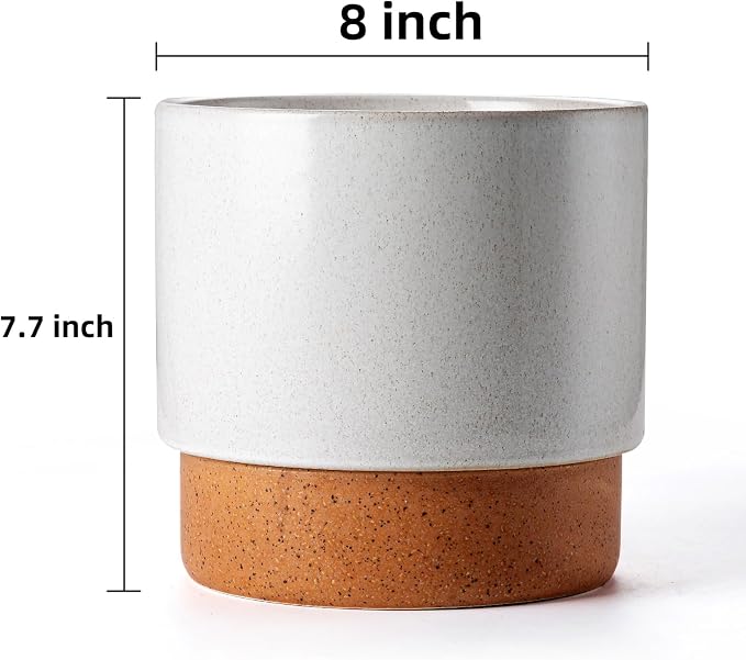 8 Inch Ceramic Self Watering Planter with Drainage Hole, Grey | Indoor Plant Pot with Water Storage Plus - for African Violet, Herbs & Pothos - Home & Office Decor, Cylinder Round