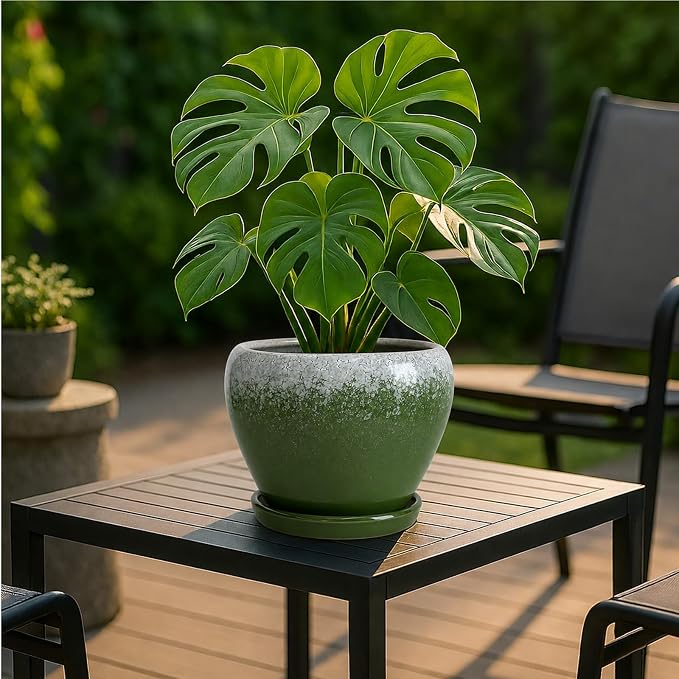 Deep Dream 8 Inch Plant Pots- Ceramic Pots for Plants with Drainage Hole and Saucer, Large Planter Pot for Indoor Plants Outdoor Decor, Blackish Green