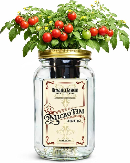 Micro Tim Cherry Tomato Indoor Garden Kit – Mason Jar Hydroponic Tomato Grow Kit – Windowsill Countertop Tomato Planter – Grow Tomatoes Indoors