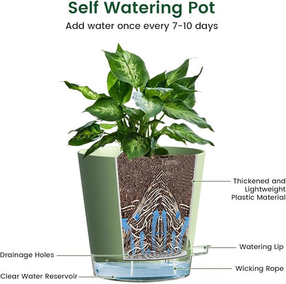 Meowell 6 inch Self Watering Pots for Indoor Outdoor Plants, 3 Pack Flower Plant Pots with Drainage Holes and Clear Reservoirs, Visible Water Level, Plastic Planters with Wicking Rope, Green