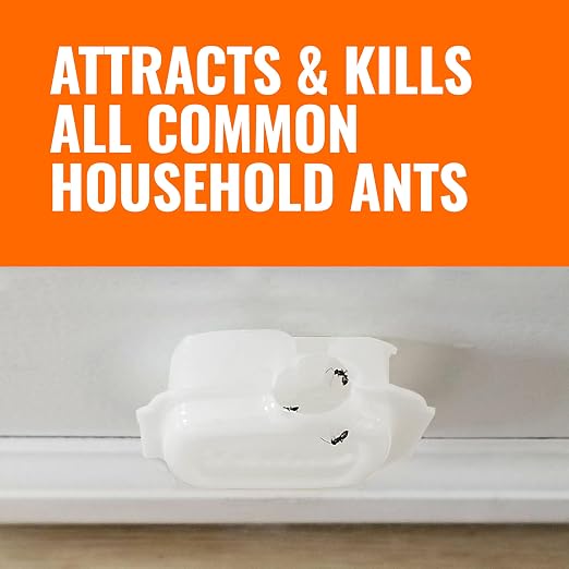 TERRO Multi-Surface Liquid Ant Baits, 4-Pack, Indoor Bait Stations for Home | Ant Trap for Discreet Baiting, Complete Colony Elimination, Discreet Ant Trap, Kills Common Household Ants, Ready-To-Use Bait