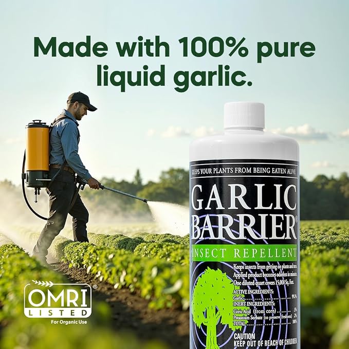 Liquid Garlic Insect Repellent Concentrate, 32 fl oz – OMRI Listed Garlic-Based Formula for Farms, Crops, Gardens & Greenhouses – Indoor & Outdoor Plant Protection