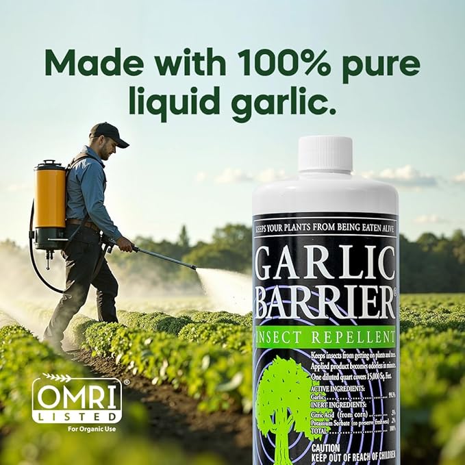 Liquid Garlic Insect Repellent Concentrate, 32 fl oz (2 Pack) – OMRI Listed Garlic-Based Formula for Farms, Crops, Gardens & Greenhouses – Indoor & Outdoor Plant Protection