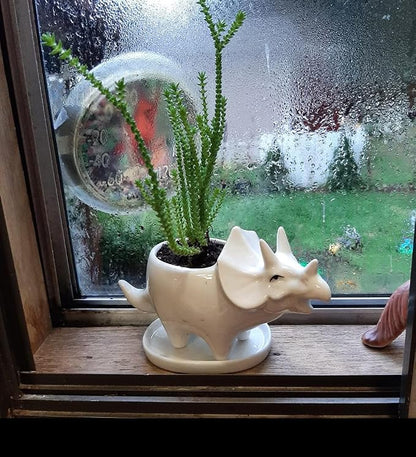 Ceramic Succulent Plant Pot Cactus Plant Pot Flower Pot Container Planter with Drainage Hole Home Office Desk Garden Gift Idea Animal Shaped Flower Pot Cute Vase Pot (4pcs Dinosaur)