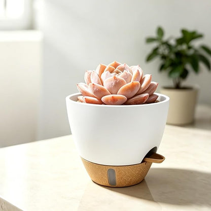 4-Pack Large Self Watering Pots for Indoor Plants, 12/10/9/8 Inch Planters with Visible Water Level Window, Automatic Watering System for Monstera, Fiddle Leaf, Herbs, Succulents, White