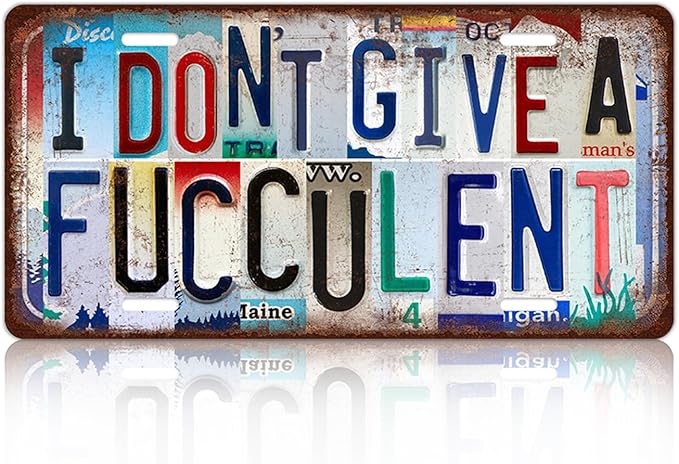 Vintage Wall Decor I Don't Give A Fucculent License Plate | Metal Sign Tin Signs