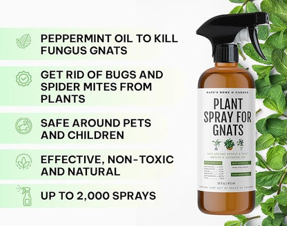Kate's Home & Garden Plant Spray for Insects & Getting Rid of Gnats with 12 Sticky Traps. Fungus Gnat Killer & Bug Spray for Indoor Plants (16oz, Peppermint, Pet Safe, Non Toxic)
