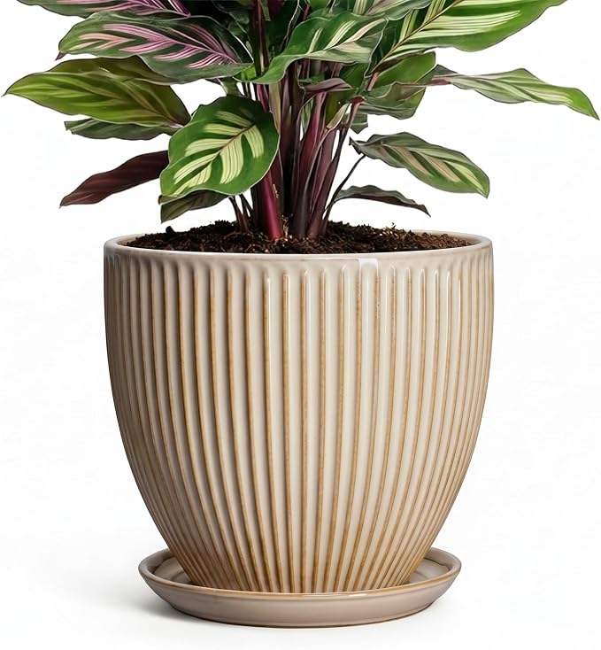 Ceramic Plant Pot, 6 Inch Succulent Pots with Drainage Hole and Saucer, Decorative Pot for Indoor Plants, Modern Indoor Flower Pots, Round Planter, Bedroom Decor, Plant Lover Gifts, Beige