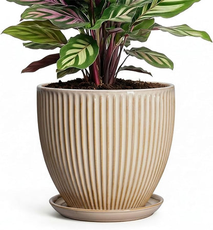 Ceramic Plant Pot, 6 Inch Succulent Pots with Drainage Hole and Saucer, Decorative Pot for Indoor Plants, Modern Indoor Flower Pots, Round Planter, Bedroom Decor, Plant Lover Gifts, Beige