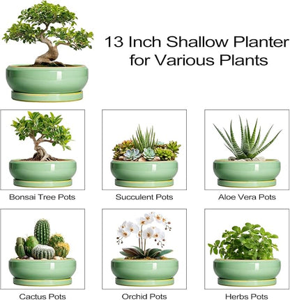 Large Bonsai Pots - 13 Inch Ceramic Succulent Pots for Indoor Outdoor, Ceramic Planter with Drainage Hole and Saucer, Shallow Round Planter, Garden Decor, Gifts for Women Men, Light Green