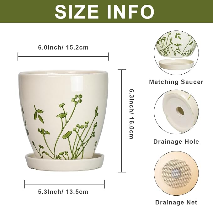 MPotTo 6 Inch Plant Pot - Ceramic Pots for Plants with Drainage Hole and Saucer, Ceramic Succulent Pots for Indoor Outdoor, Decorative Boho Planter, Housewarming Gifts, Garden Room Home Decor, White