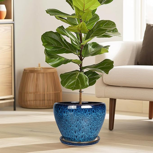 Ceramicfor 8 Inch Ceramic Plant Pot, Ceramic Planter Pot for Indoor Outdoor Plants, Round Flower Pot with Drainage Hole and Saucer, Blue