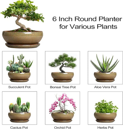 SQOWL Bonsai Pots Small - 6 Inch Ceramic Succulent Pots with Drainage Hole and Saucer, Shallow Round Planter for Indoor Plants Outdoor, Ceramic Cactus Planter, Patio Decor, Housewarming Gift, Brown