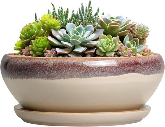SQOWL Succulent Pots 8 Inch - Ceramic Bonsai Pots for Indoor Plants, Round Shallow Plant Pot with Drainage Hole and Saucer, Bowl Planter Outdoor, Patio Decor, Plant Lover Gifts, Beige