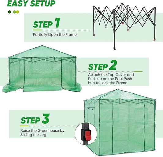 EAGLE PEAK 7x7 Portable Walk in Greenhouse, Pop Up Indoor Outdoor Greenhouse, Green House Kit with Zippered Roll-Up Doors and Windows + Mesh Lining & 2 Foldable Shelves, PE Cover, Clear/Green