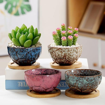 YYW Ceramic Succulent Planter, 4 Pack Cute Garden Pots with Drainage and Attached Saucer
