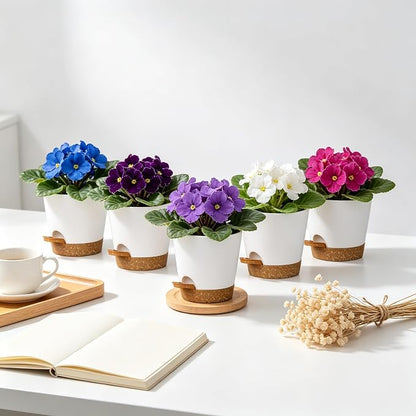 5 Pack 5 Inch African Violet Pots Self Watering, Self-Watering Planters with Drainage Holes & Reservoir, White Brown Plastic Pots for Indoor Outdoor Plants, Succulents & Flowers