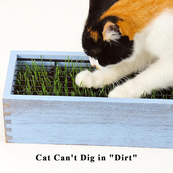 Wooden Cat Grass Planter (no Seeds Included) for Indoor Cats | Anti-Digging Design, Removable Plastic Liner, Easy to Clean, Mess Free, Wheat Grass Growing Pot for Cats Rabbits Pets