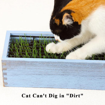 Wooden Cat Grass Planter (no Seeds Included) for Indoor Cats | Anti-Digging Design, Removable Plastic Liner, Easy to Clean, Mess Free, Wheat Grass Growing Pot for Cats Rabbits Pets