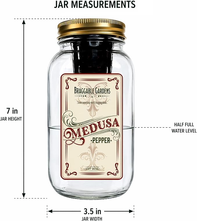 Medusa Pepper Indoor Garden Kit – Mason Jar Hydroponic Pepper Grow Kit – Windowsill Countertop Pepper Plant – Grow Ornamental Chili Peppers Indoors