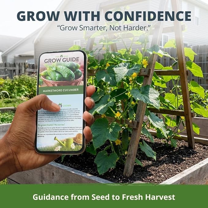 HOME GROWN Organic Marketmore Cucumber Seeds 200+ Heirloom Non-GMO Seeds for Planting, High Germination, Hardy & Vigorous Slicing Cucumber, Trellis & Raised Bed Garden (Cucumis sativus)