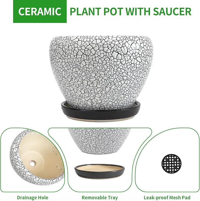 Deep Dream 6 Inch Plant Pots- Ceramic Planter Pot with Drainage Hole and Saucer, Round Flower Pot for Indoor Outdoor Succulent, Snake Plants and Cactus, Wood Crack Black