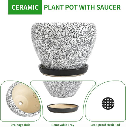 Deep Dream 6 Inch Plant Pots- Ceramic Planter Pot with Drainage Hole and Saucer, Round Flower Pot for Indoor Outdoor Succulent, Snake Plants and Cactus, Wood Crack Black