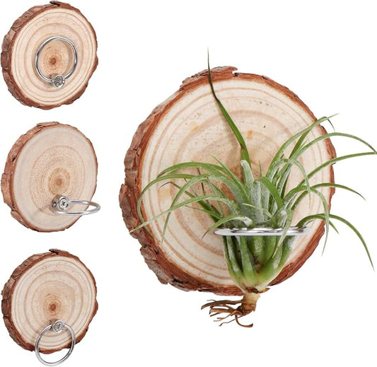 Magnetic Air Plant Holder, Natural Wood Slices Refrigerator Magnet Live Air Plant Holders, Modern Farmhouse Wall Decor for Living Room Bedroom Kitchen Office Home Garden (6 Pack)