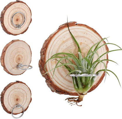Magnetic Air Plant Holder, Natural Wood Slices Refrigerator Magnet Live Air Plant Holders, Modern Farmhouse Wall Decor for Living Room Bedroom Kitchen Office Home Garden (3 Pack)