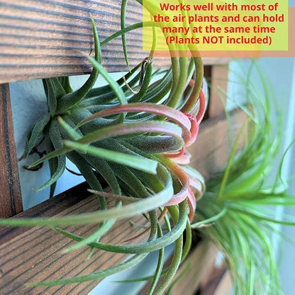 ShopLaLa Wall Planter - Wooden Hanging Planter for Indoor Plants, Plant Stand, Air Plant Succulent Holder, Vertical Garden. Large Wall Decor for Living Room, Room Decor for Teens, 60cm (23.6") | Air Plant Succulent Holder, Plant Stand, Vertical Garden ...
