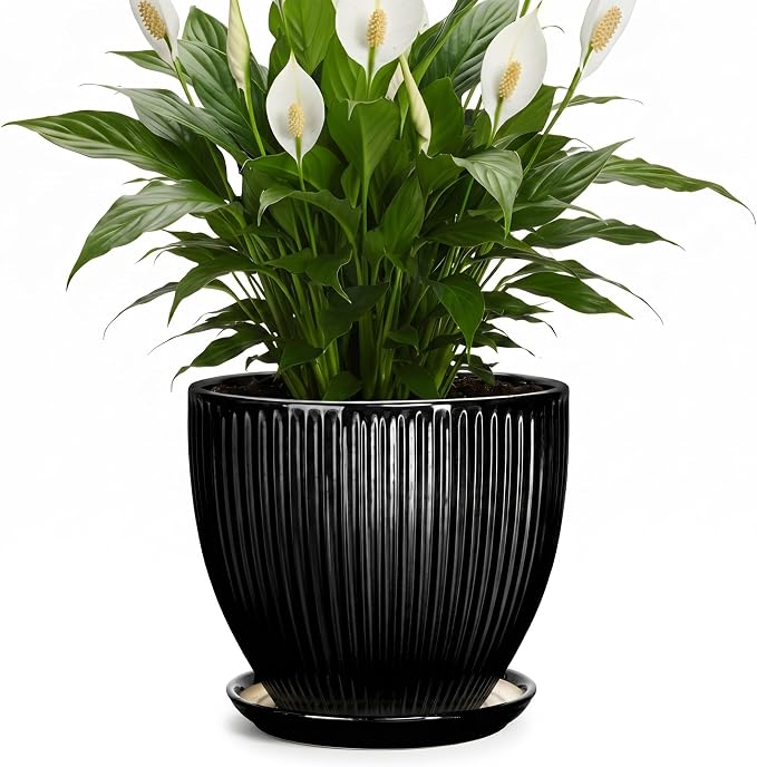 8 Inch Plant Pot, Ceramic Planter with Drainage Hole and Saucer, Modern Planters for Indoor Plants, Indoor Planter, Decorative Round Flower Pot, Apartment Decor, Plant Lover Gifts, Black