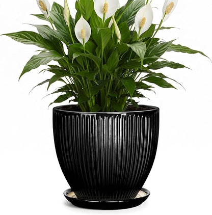 8 Inch Plant Pot, Ceramic Planter with Drainage Hole and Saucer, Modern Planters for Indoor Plants, Indoor Planter, Decorative Round Flower Pot, Apartment Decor, Plant Lover Gifts, Black