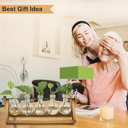 Renmxj Plant Propagation Stations with Wooden Stand & 5 Glass Bulb Vases | Plant Terrarium for Indoor Plants, Home Office Desk Decor, Gardening Gifts for Women Mom, Birthday Gifts for Plants Lovers