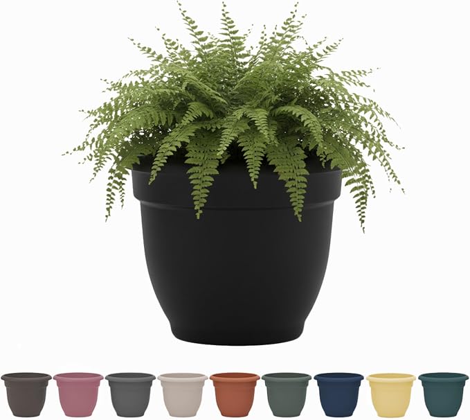 Bloem Ariana 10" Plastic Self-Watering Planter, Black | Self-watering disk at the bottom of the pot that acts as a water wick and reservoir for optimal plant health.