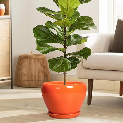 Ceramicfor Indoor Plant Pot 8 Inch - Ceramic Plant Pot with Drainage Hole and Saucer, Glaze Decorative Modern Round Planter for Outdoor Plants, Housewarming Gifts, Office Home Garden Decor, Orange