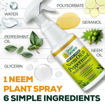 Neem Oil Spray for Plants with Peppermint Oil, Natural Plant Wash Made for Indoor and Outdoor Plants Smart Grower 16oz Easy Ready to Use Spray